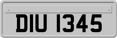 DIU1345