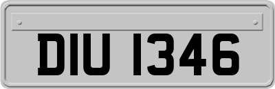 DIU1346