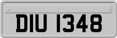 DIU1348