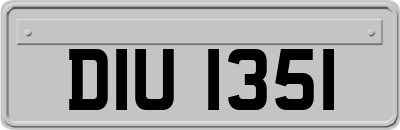 DIU1351