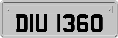 DIU1360