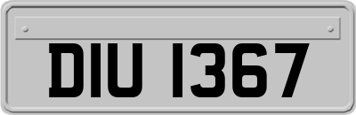 DIU1367