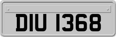 DIU1368
