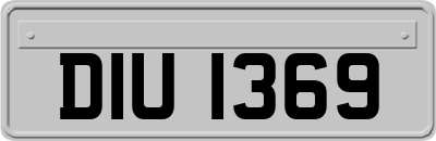 DIU1369