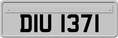 DIU1371