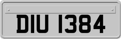 DIU1384