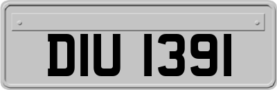 DIU1391