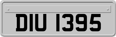 DIU1395