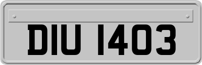 DIU1403