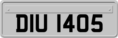 DIU1405