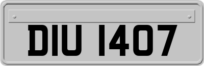 DIU1407