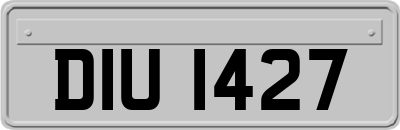 DIU1427
