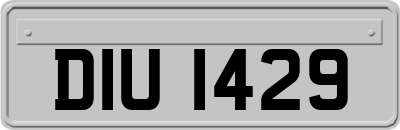 DIU1429