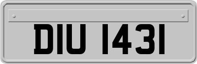 DIU1431