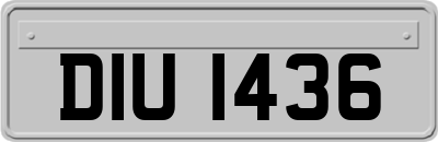 DIU1436
