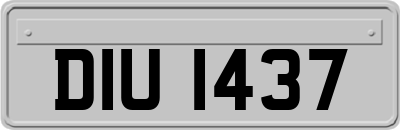 DIU1437