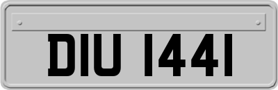 DIU1441