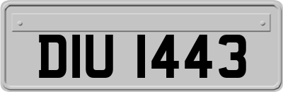 DIU1443