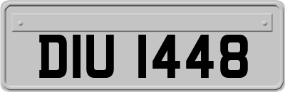 DIU1448