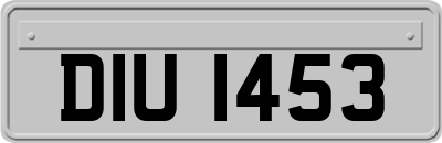 DIU1453