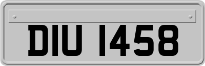 DIU1458