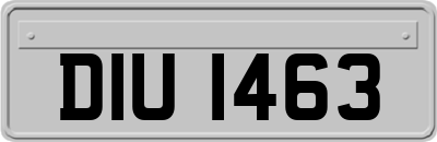 DIU1463