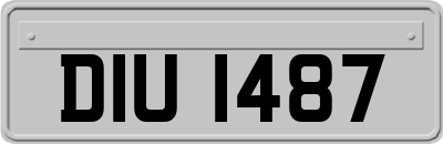 DIU1487