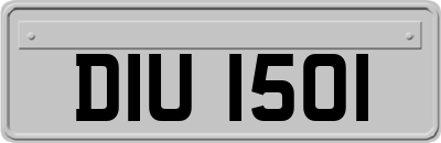 DIU1501