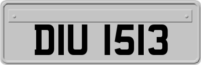 DIU1513