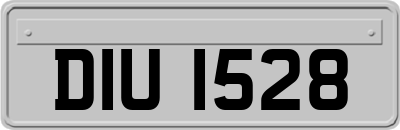 DIU1528
