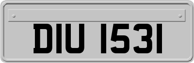 DIU1531