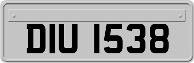DIU1538