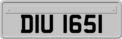 DIU1651