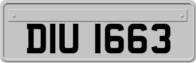 DIU1663