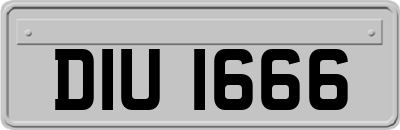 DIU1666