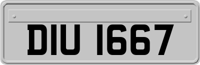 DIU1667