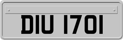 DIU1701