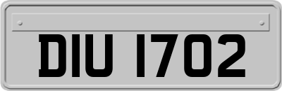 DIU1702