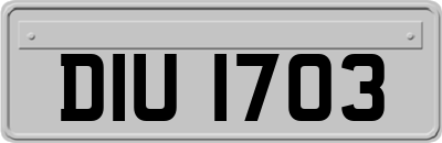 DIU1703