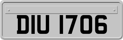 DIU1706