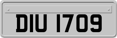 DIU1709