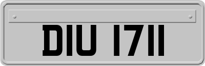 DIU1711