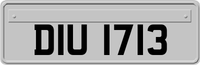 DIU1713