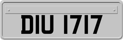 DIU1717