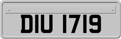 DIU1719