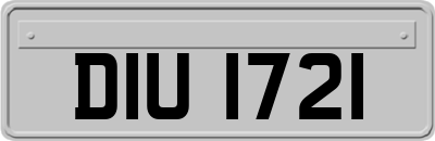 DIU1721