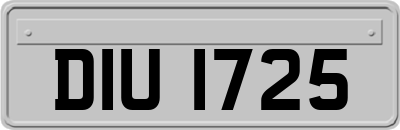 DIU1725