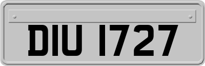 DIU1727