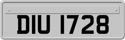 DIU1728