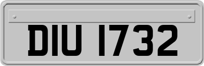 DIU1732